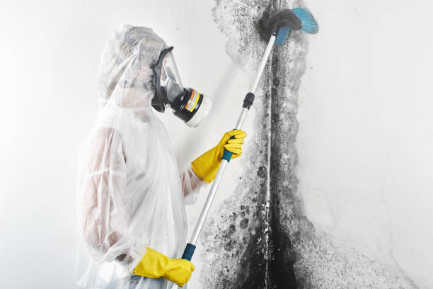 Best Airborne Mold Testing  in Mulvane, KS