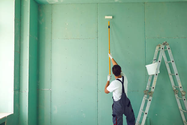 Best Water Damage & Mold Remediation  in Mulvane, KS