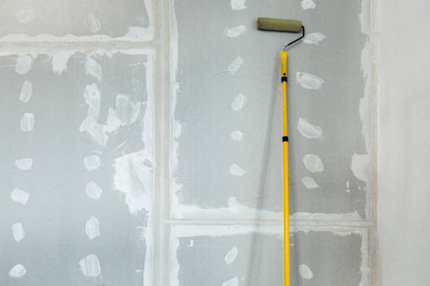 Best Forensic Mold Investigation  in Mulvane, KS