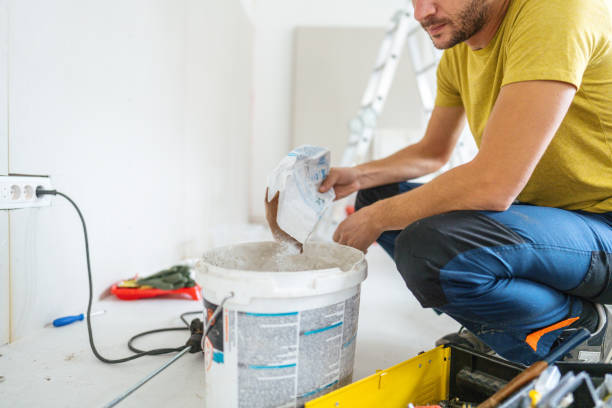 Best Mold Odor Removal Services  in Mulvane, KS