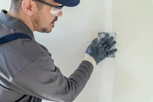 Mold Remediation for Rental Properties