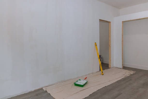 Best Attic Mold Removal  in Mulvane, KS